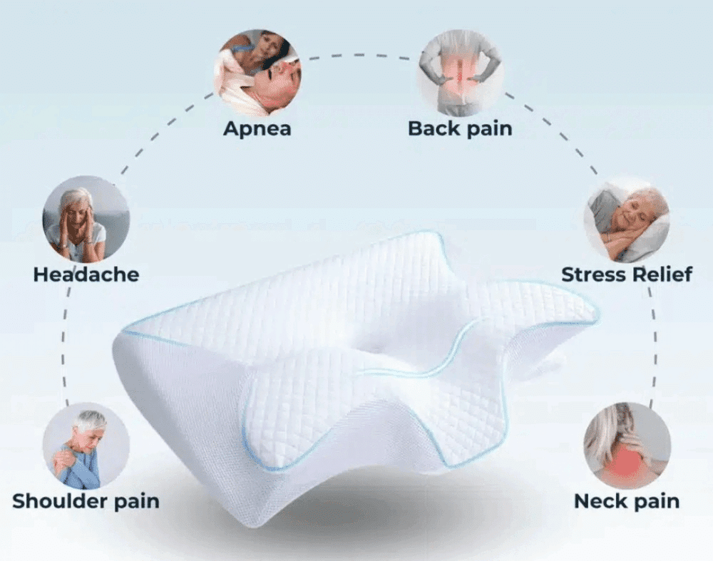 Ergo Z Pillow (official Retailer) 2025