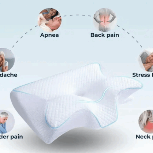 Ergo Z Pillow (official Retailer) 2025