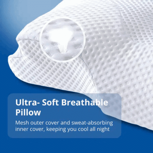 Ergo Z Pillow (official Retailer) 2025