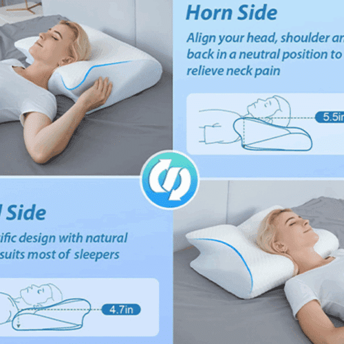 Ergo Z Pillow (official Retailer) 2025