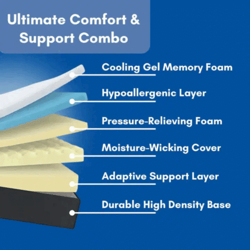 Ergo Z Pillow (official Retailer) 2025